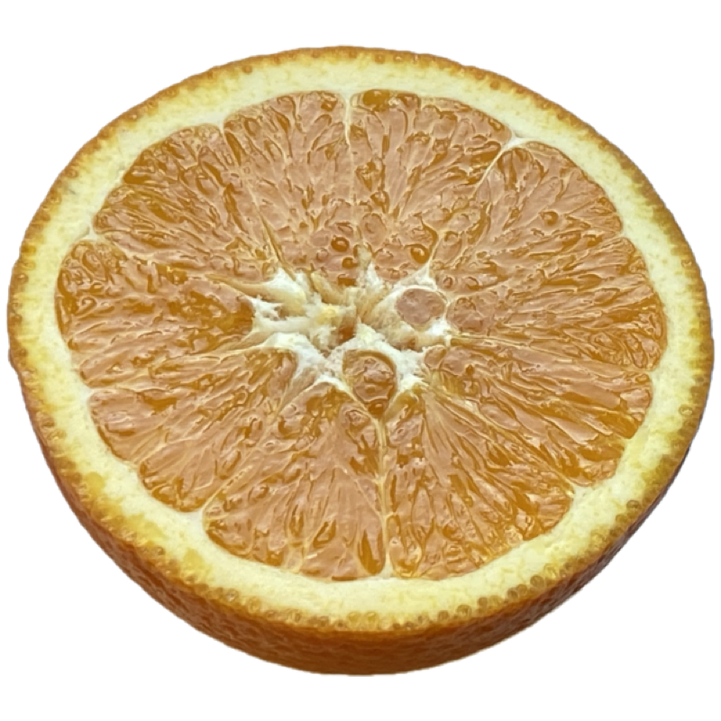 Orange (Zitrusfrucht) durchgeschnitten